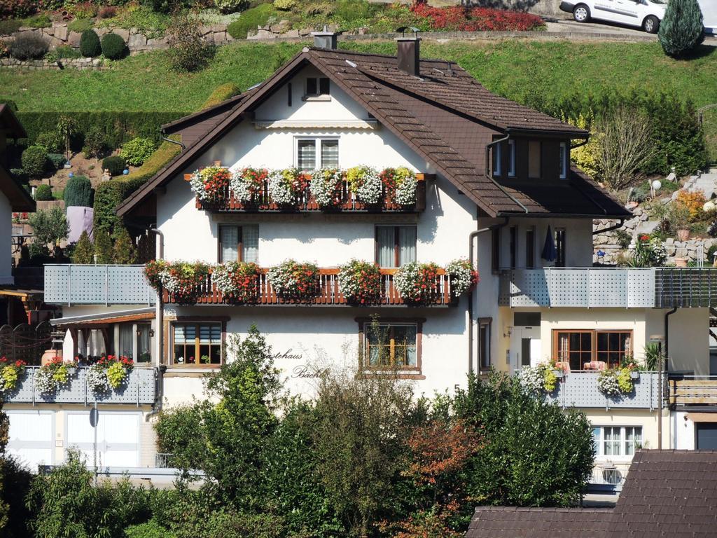 Gaestehaus Und Ferienwohnung Baechle 巴特彼得斯塔尔-格里斯巴赫 外观 照片